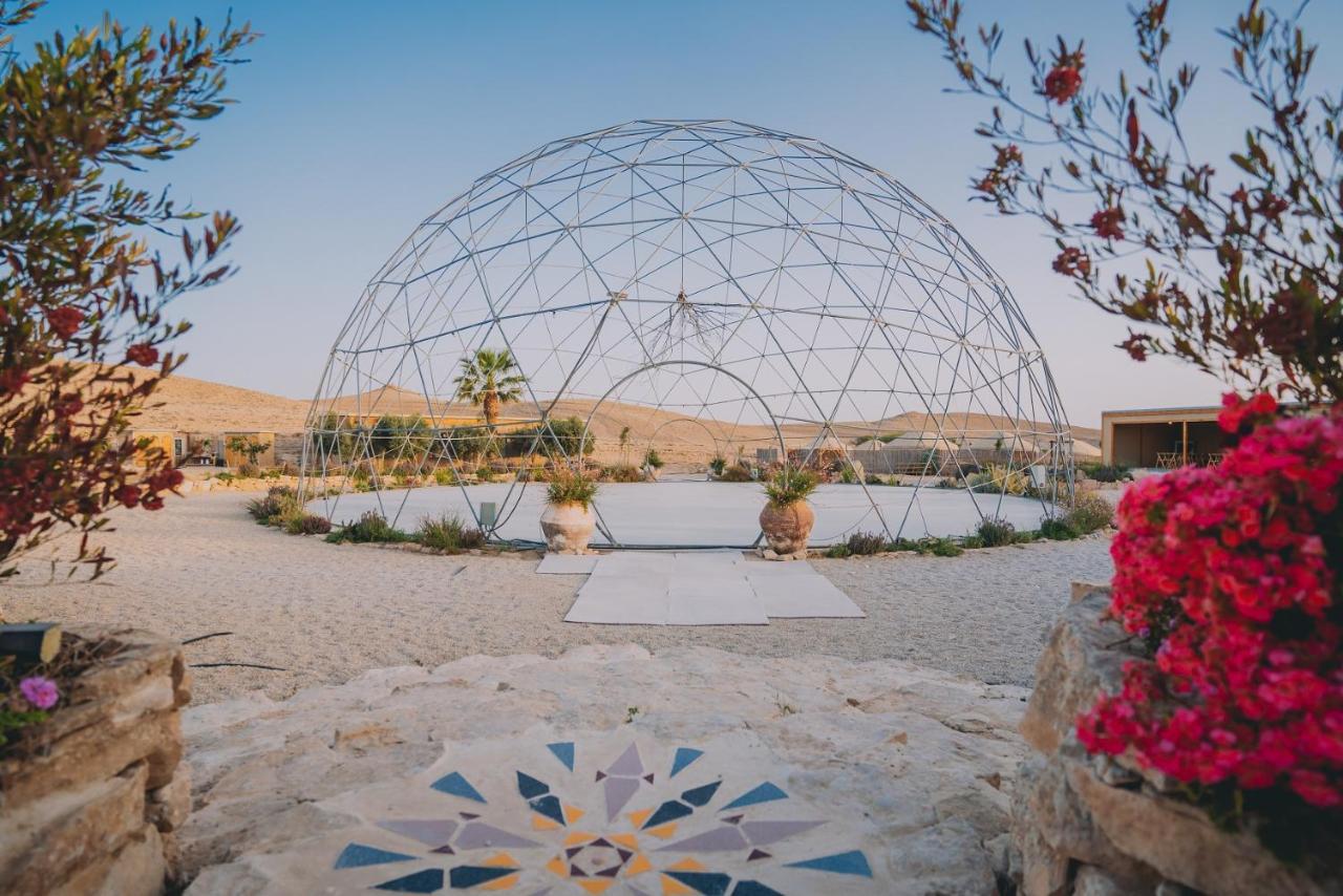 Alpaca Farm - חוות האלפקות Bauernhof Mitzpe Ramon