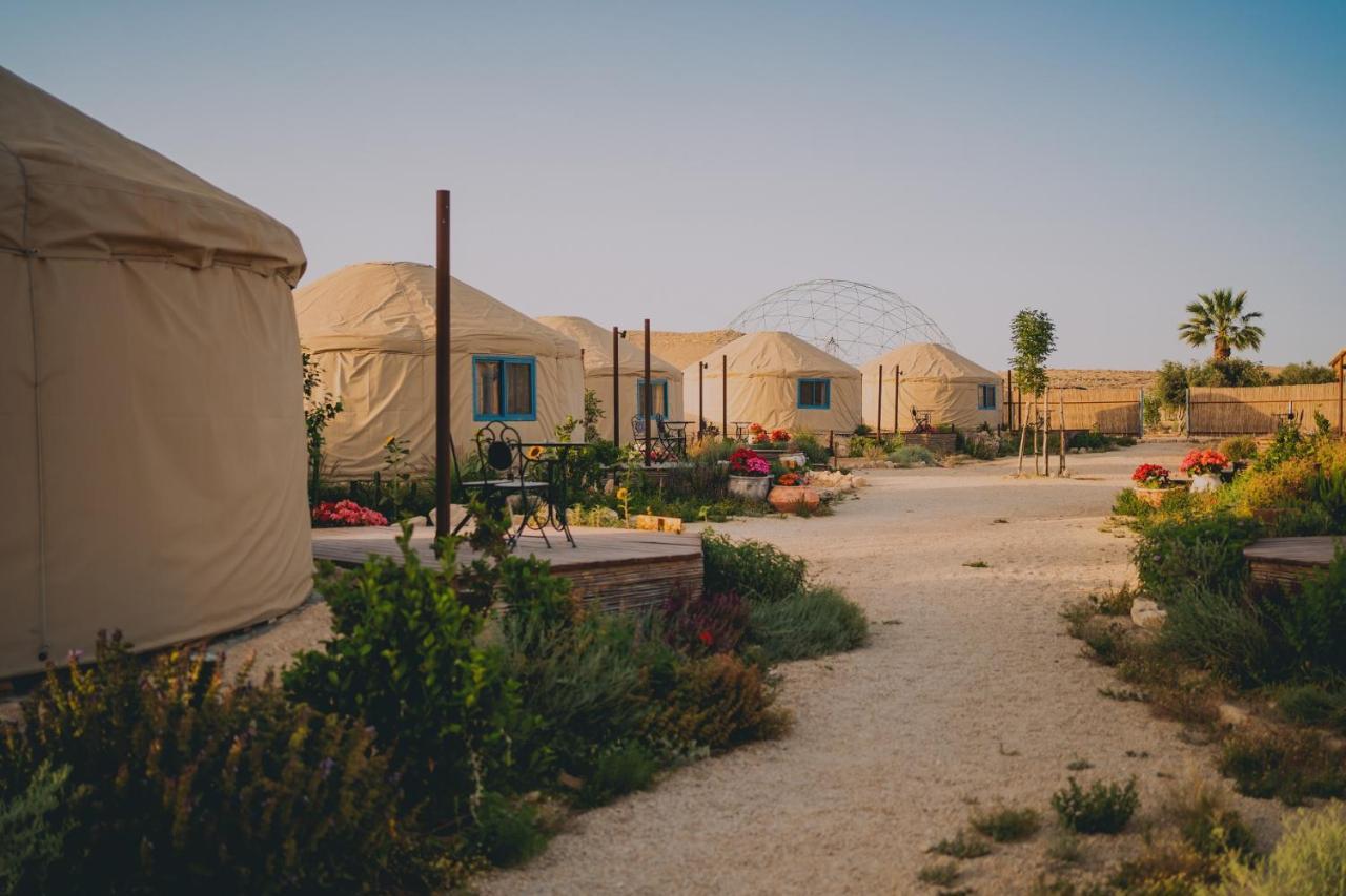 Alpaca Farm - חוות האלפקות * Mitzpe Ramon