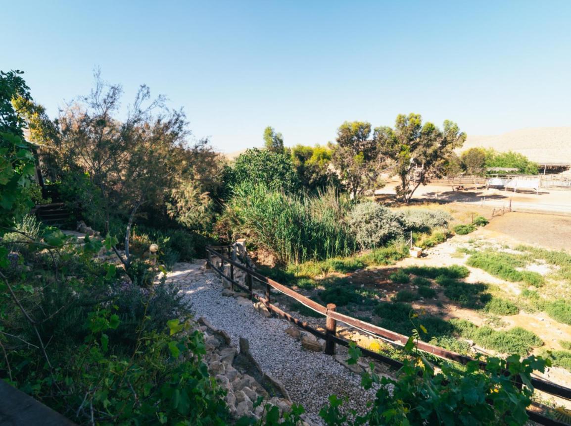 Bauernhof Alpaca Farm - חוות האלפקות Mitzpe Ramon