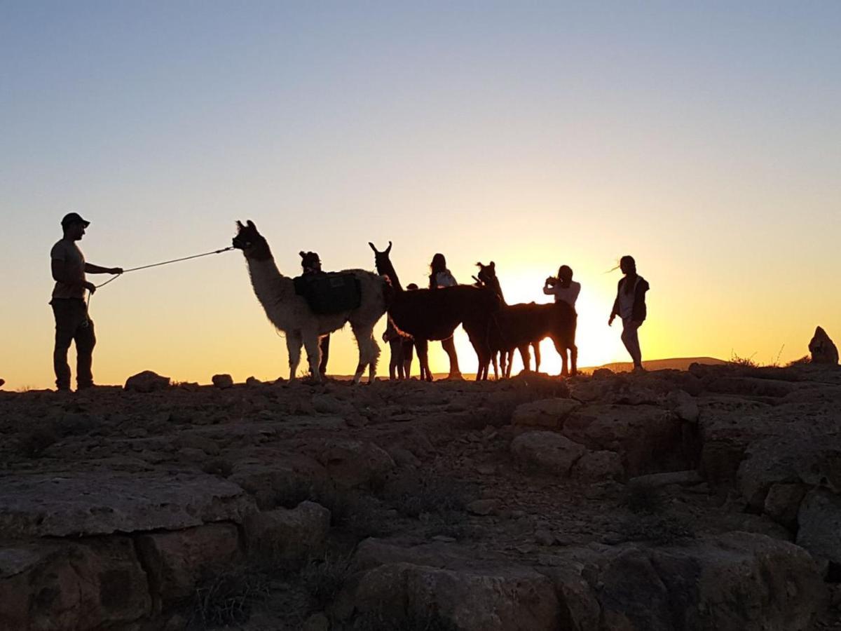Alpaca Farm - חוות האלפקות Bauernhof Mitzpe Ramon
